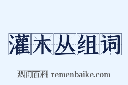 灌木丛组词是什么意思的图片